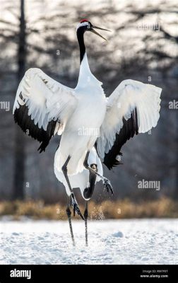  The Dancing Crane - A Timeless Tale of Gratitude and Sacrifice From Modern Japan!