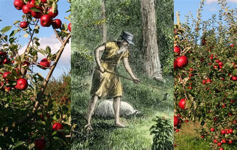  Johnny Appleseed 과 그의 신비로운 사과 나무 여정에 푹 빠져보세요!